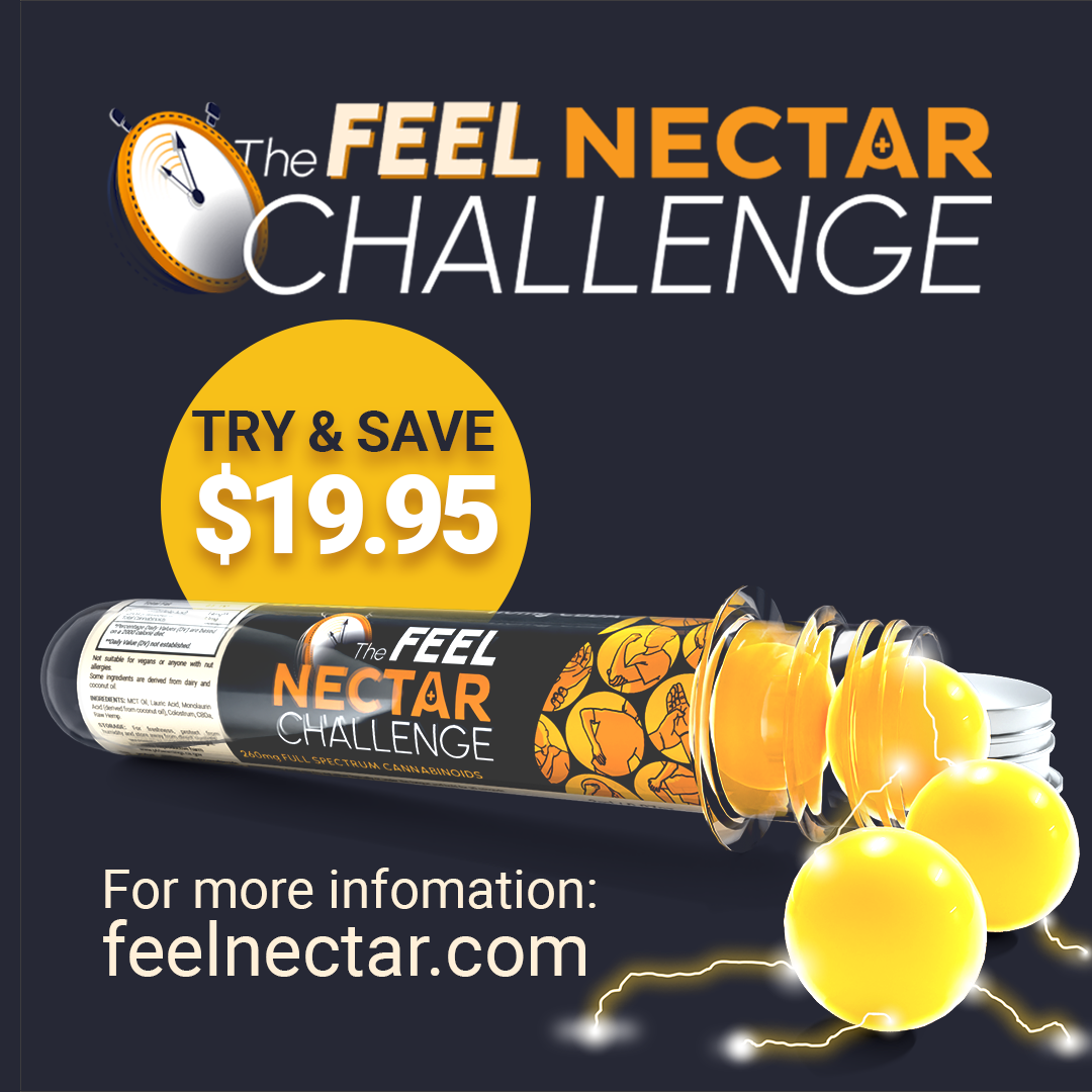 Nectar digital campaign artwork